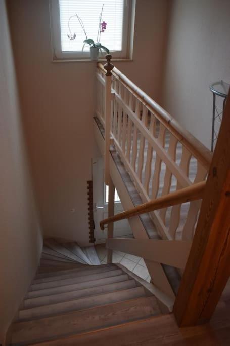 City Appartement Mit Garten, Zentral Und Trotzdem Ruhig Κότμπους Εξωτερικό φωτογραφία
