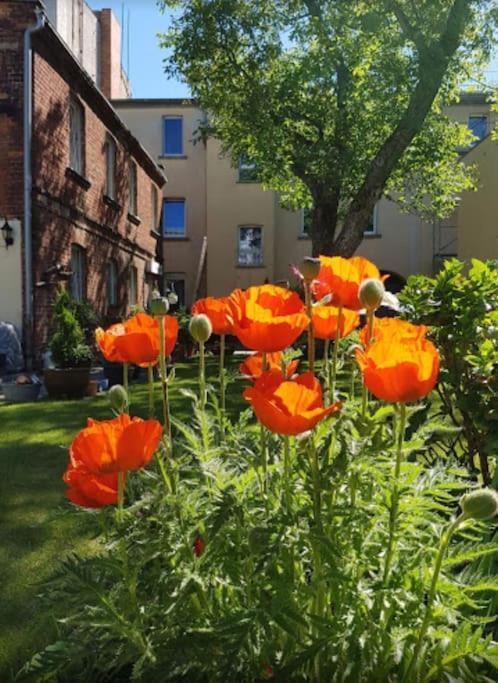 City Appartement Mit Garten, Zentral Und Trotzdem Ruhig Κότμπους Εξωτερικό φωτογραφία